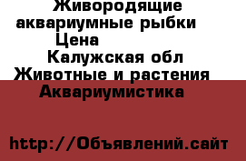 Живородящие аквариумные рыбки   › Цена ­ 30-40-50 - Калужская обл. Животные и растения » Аквариумистика   